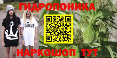 индика Кинель