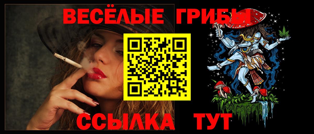 где купить наркоту  Галлюциногенные грибы Psilocybe  Крымск  Вход с VPN  Псилоцибиновые грибы Psilocybe 